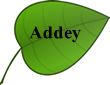 Addey Leaf2
